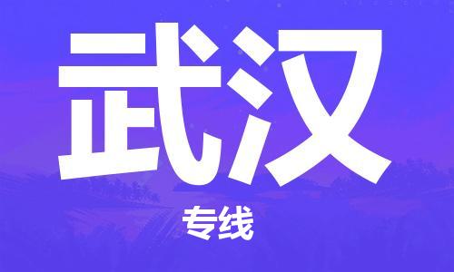 瀘州航空快遞至武漢當天到-瀘州到武漢空運跨省當日達